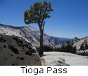 Tioga Pass