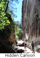 Hidden Canyon